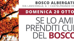Se lo ami prenditi cura del bosco