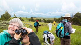 Bioblitz al Parco della Resistenza 