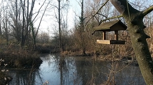 Festa del Fiume con il Circolo Pagliani