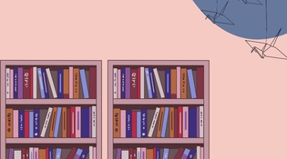 Biblioteca del Fumetto - Polisportiva San Faustino