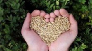 Cuore e colesterolo: le attuali conoscenze