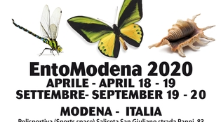 Aspettando EntoModena 2020