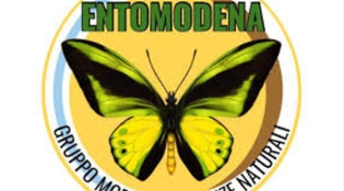 Entomodena 2026