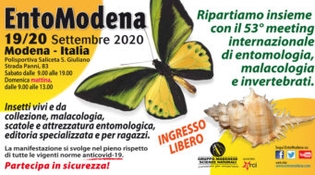 Entomodena 2020