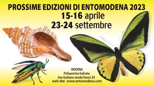 Entomodena