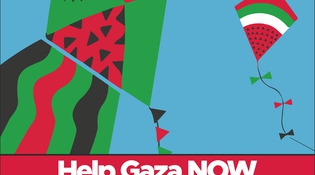 Help Gaza Now