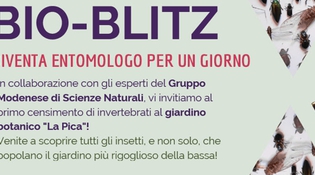 BIOBLITZ - diventa emologo per un giorno