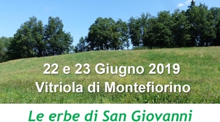Le erbe di San Giovanni