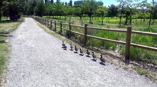 Parco Campagna della Resistenza