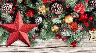 Pranzo di Natale alla Città degli Alberi