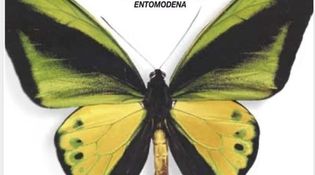 Torna la 61° edizione di EntoModena