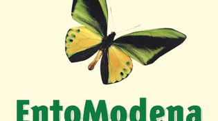 Entomodena