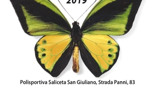 Entomodena Aprile 2019