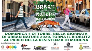 Urban nature 2020